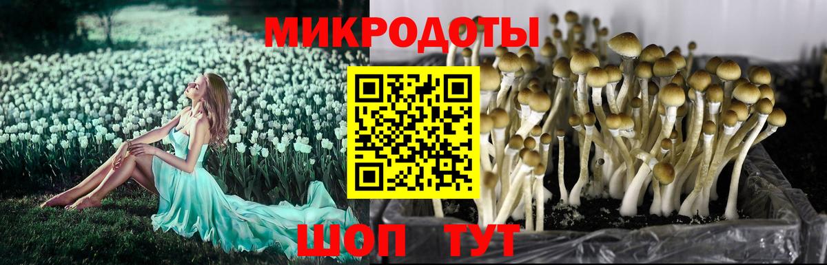 Псилоцибиновые грибы ЛСД  Галлюциногенные грибы ЛСД  Вход с VPN  Новый Уренгой 